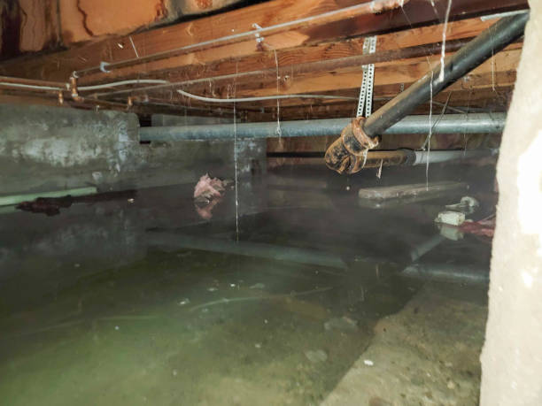Best Water damage restoration near me  in Oak Grove Heights, AR