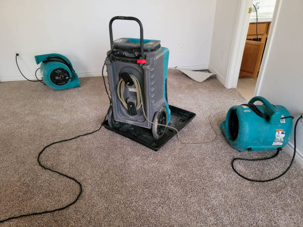 Best Fire Damage Restoration  in Oak Grove Heights, AR