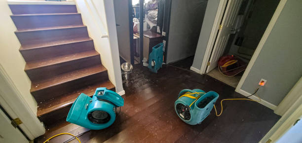Carpet water damage restoration in Oak Grove Heights, AR