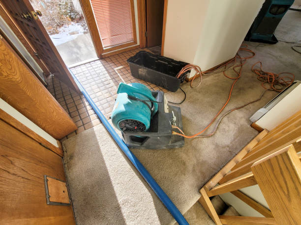 Best Basement water damage restoration  in Oak Grove Heights, AR