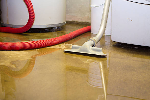 Best 24/7 water damage repair  in Oak Grove Heights, AR