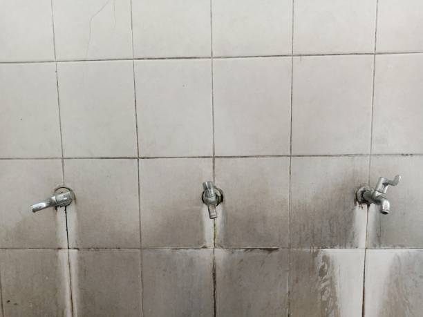 Best Carpet water damage restoration  in Oak Grove Heights, AR